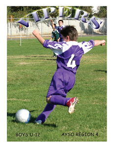 AYSO Vipers